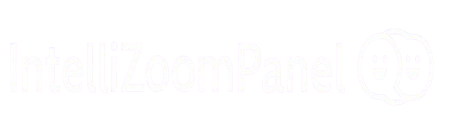 IntelliZoom Panel